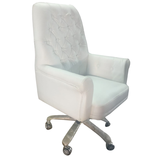 Director Chair